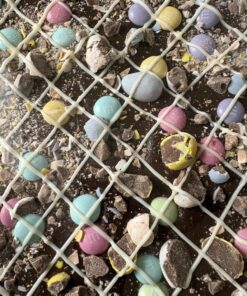 Close-up of pastel candy-coated chocolates and chocolate pieces scattered on dark soil beneath a white plastic mesh grid.